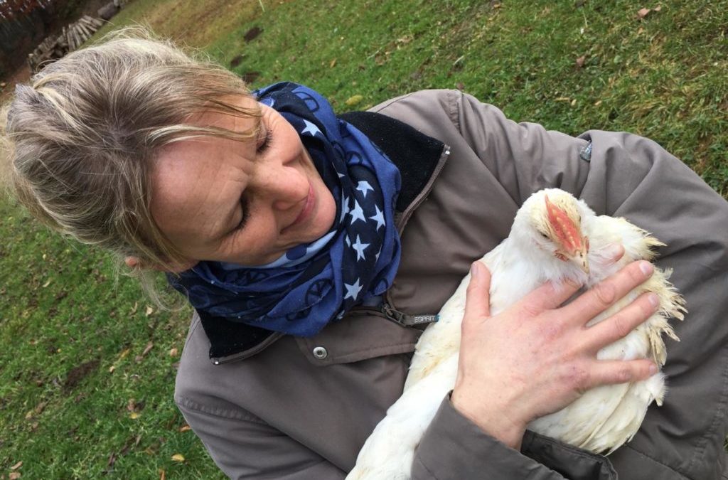 NEU: Glückliche Hühner vom Grünthaler Hof