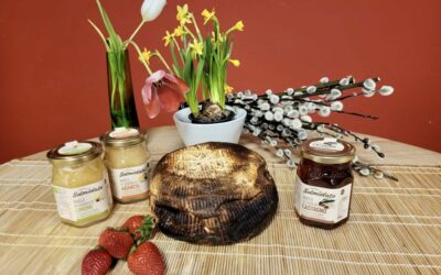 Die 5 besten Honig-Rezepte aus Sizilien